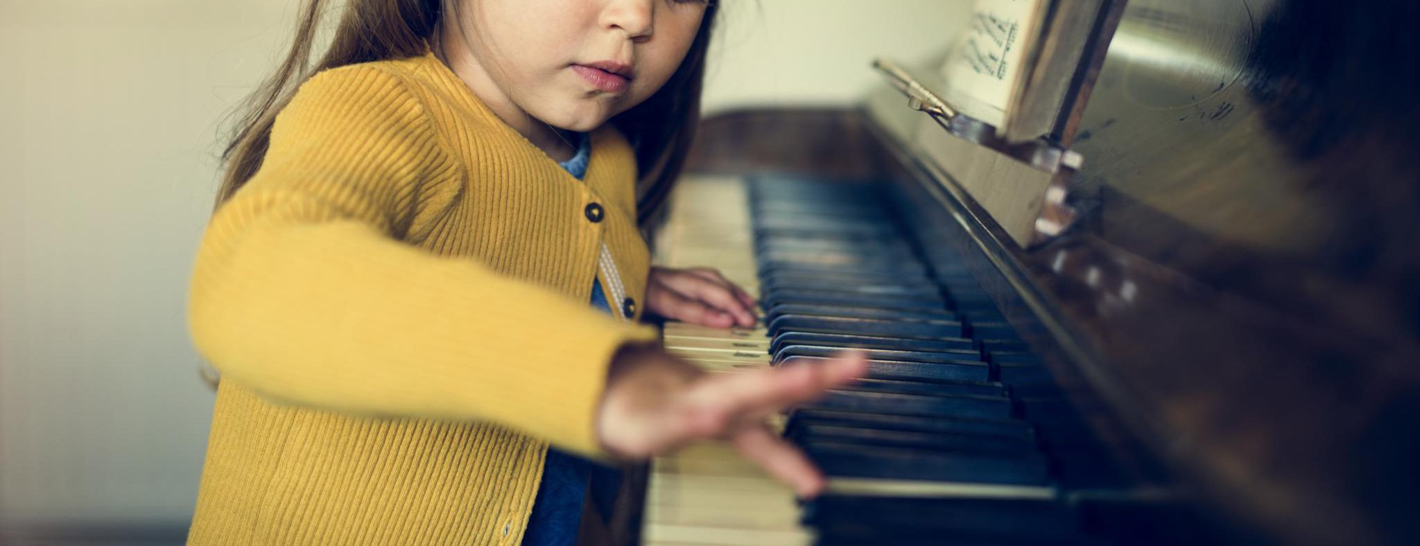 Piano Lessons in Des Plaines Des Plaines School of Music